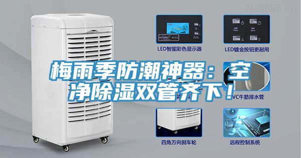 梅雨季防潮神器：空凈除濕雙管齊下！