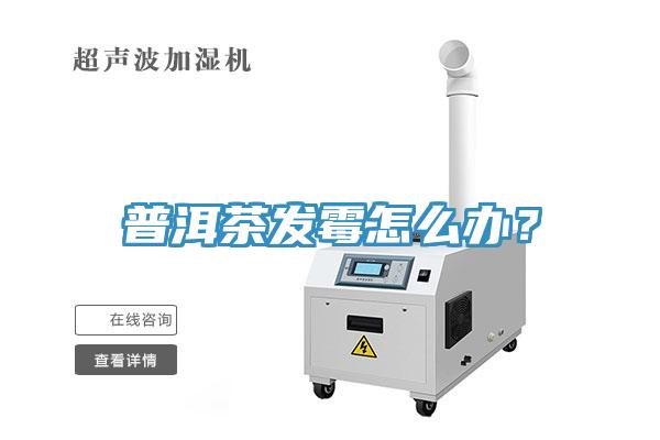 普洱茶發(fā)霉怎么辦？