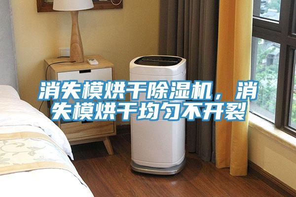 消失模烘干除濕機(jī)，消失模烘干均勻不開裂
