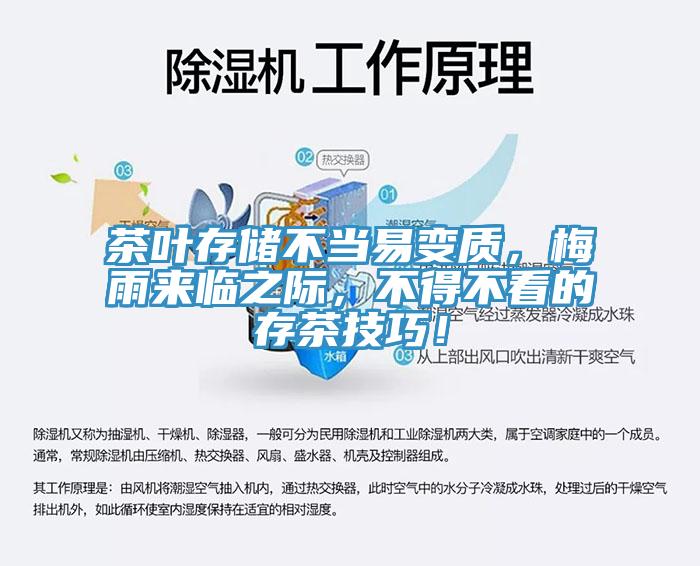 茶葉存儲(chǔ)不當(dāng)易變質(zhì)，梅雨來臨之際，不得不看的存茶技巧！