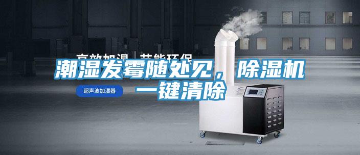 潮濕發(fā)霉隨處見，除濕機一鍵清除
