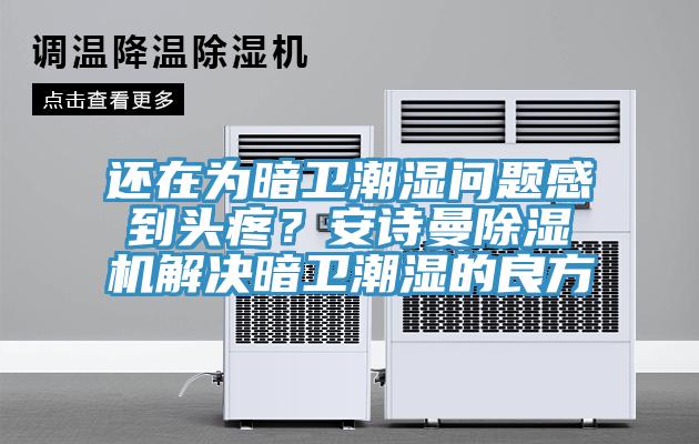 還在為暗衛(wèi)潮濕問題感到頭疼？安詩曼除濕機解決暗衛(wèi)潮濕的良方
