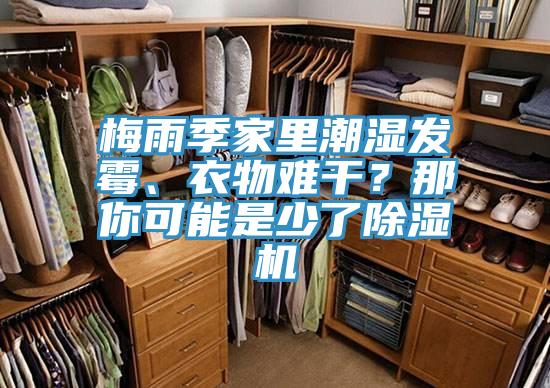 梅雨季家里潮濕發(fā)霉、衣物難干？那你可能是少了除濕機(jī)