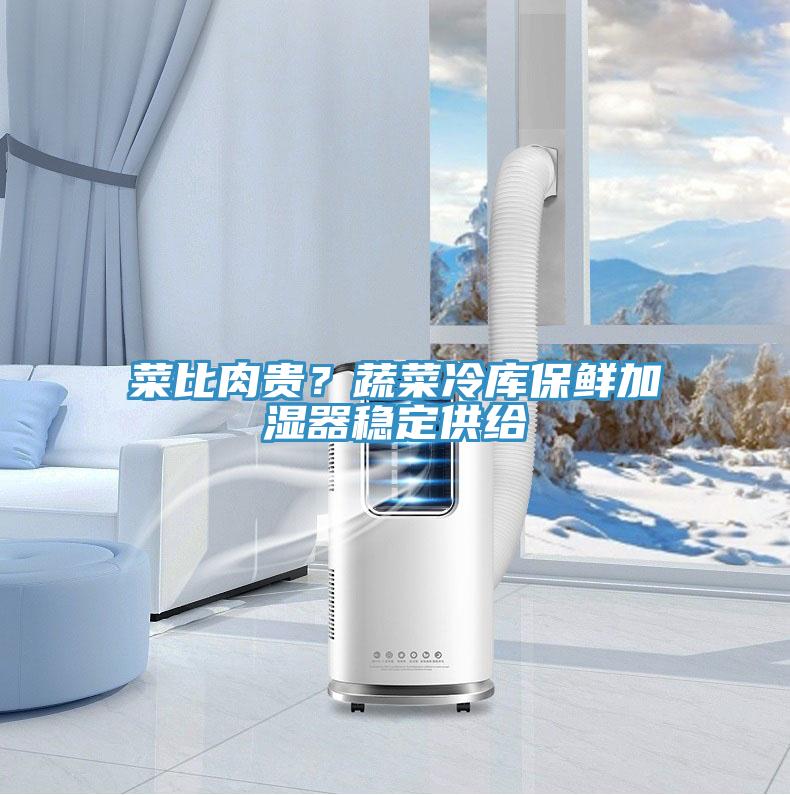 菜比肉貴？蔬菜冷庫保鮮加濕器穩(wěn)定供給