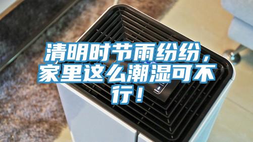清明時節(jié)雨紛紛，家里這么潮濕可不行！