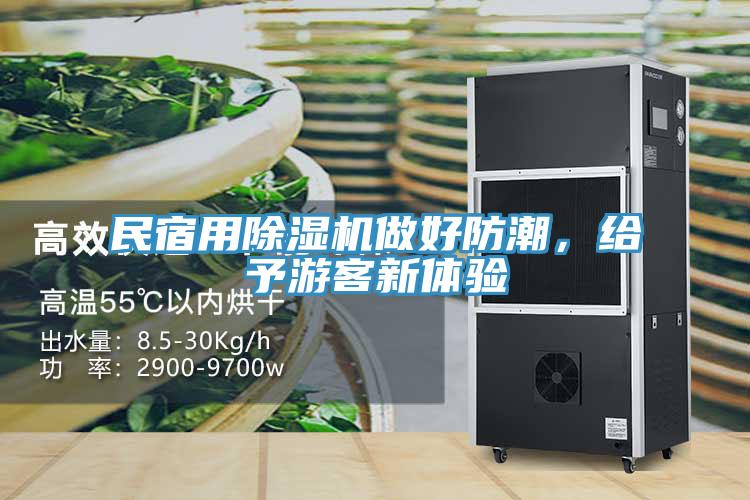 民宿用除濕機(jī)做好防潮，給予游客新體驗(yàn)