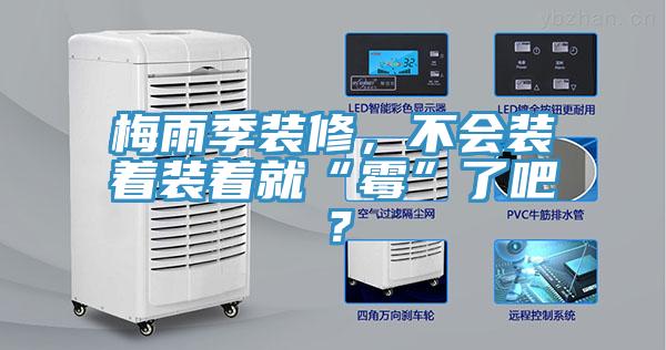 梅雨季裝修，不會(huì)裝著裝著就“霉”了吧？