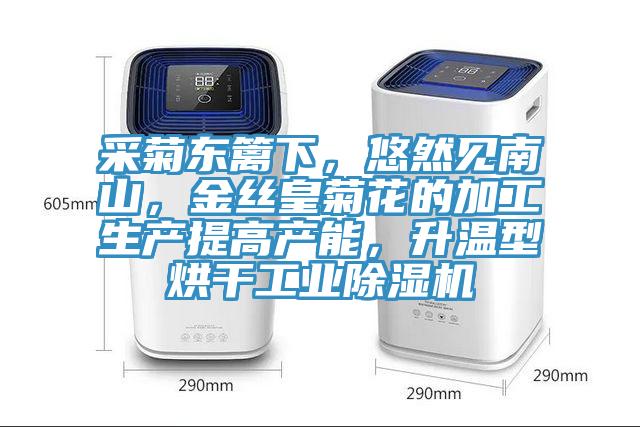 采菊東籬下，悠然見南山，金絲皇菊花的加工生產(chǎn)提高產(chǎn)能，升溫型烘干工業(yè)除濕機
