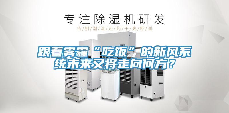 跟著霧霾“吃飯”的新風(fēng)系統(tǒng)未來又將走向何方？