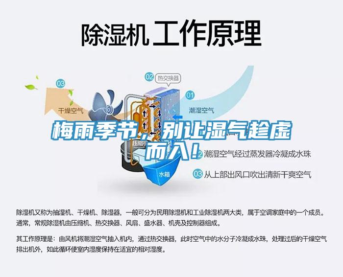 梅雨季節(jié)，別讓濕氣趁虛而入！