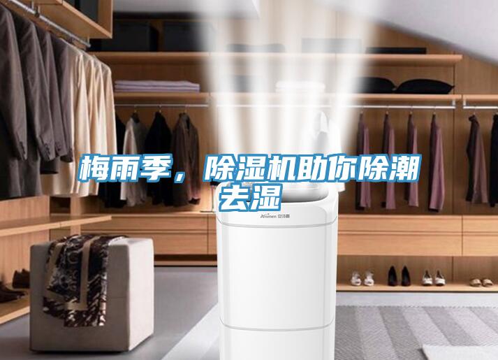梅雨季，除濕機助你除潮去濕