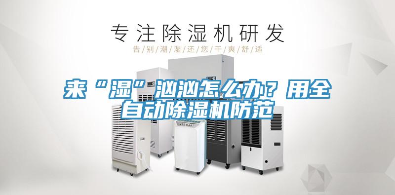 來“濕”洶洶怎么辦？用全自動(dòng)除濕機(jī)防范