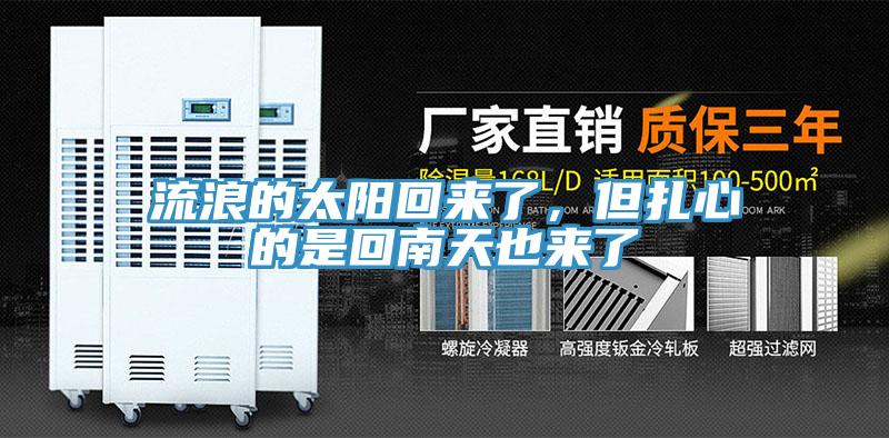 流浪的太陽回來了，但扎心的是回南天也來了