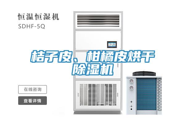桔子皮、柑橘皮烘干除濕機(jī)