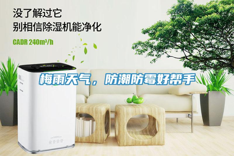 梅雨天氣，防潮防霉好幫手