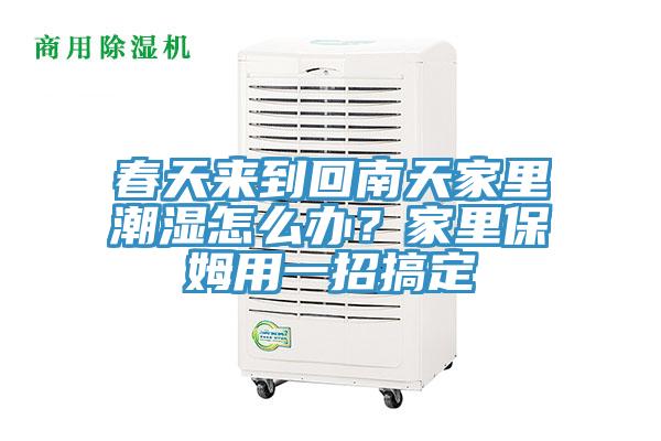 春天來到回南天家里潮濕怎么辦？家里保姆用一招搞定