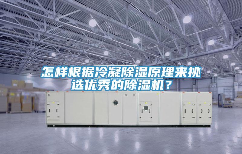 怎樣根據(jù)冷凝除濕原理來挑選優(yōu)秀的除濕機？