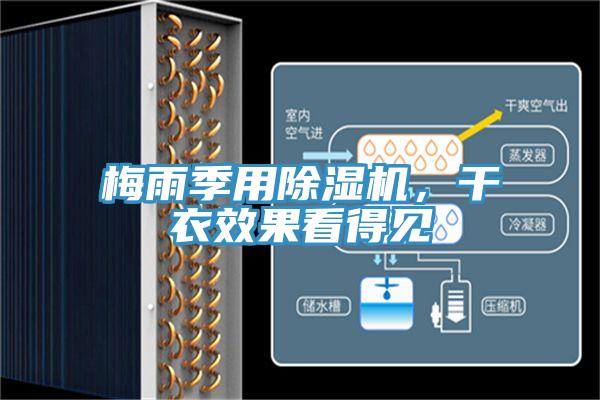 梅雨季用除濕機(jī)，干衣效果看得見