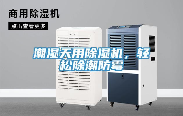 潮濕天用除濕機，輕松除潮防霉