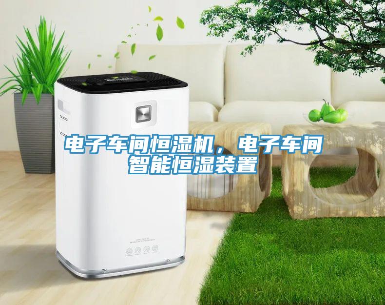 電子車間恒濕機(jī)，電子車間智能恒濕裝置
