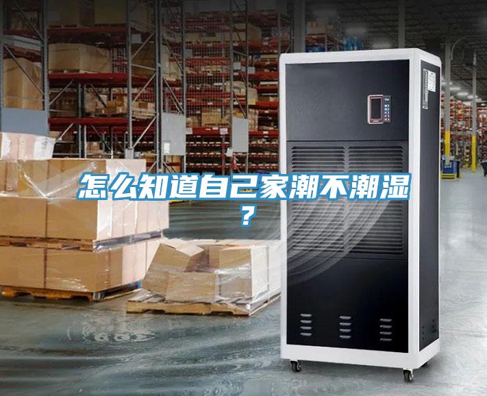 怎么知道自己家潮不潮濕？