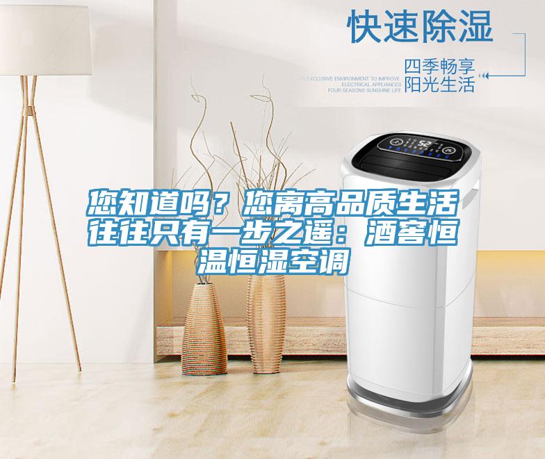 您知道嗎？您離高品質(zhì)生活往往只有一步之遙：酒窖恒溫恒濕空調(diào)