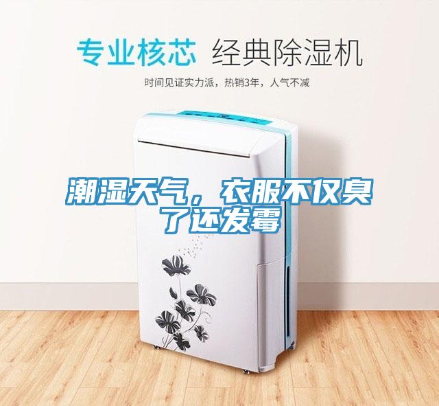潮濕天氣，衣服不僅臭了還發(fā)霉