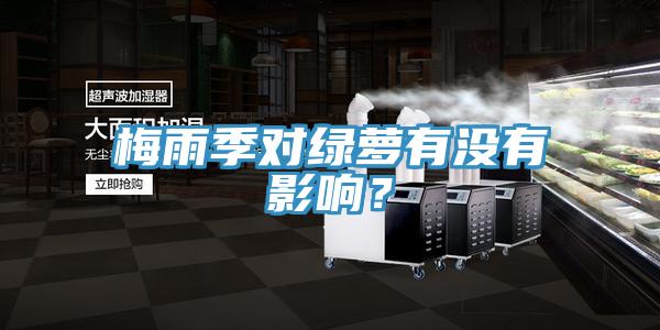 梅雨季對綠蘿有沒有影響？