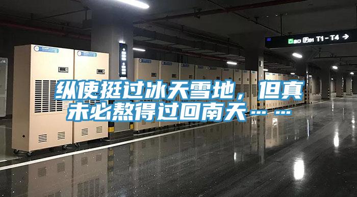 縱使挺過冰天雪地，但真未必熬得過回南天……