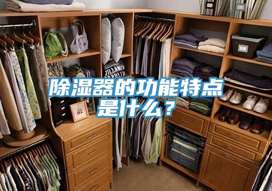除濕器的功能特點(diǎn)是什么？