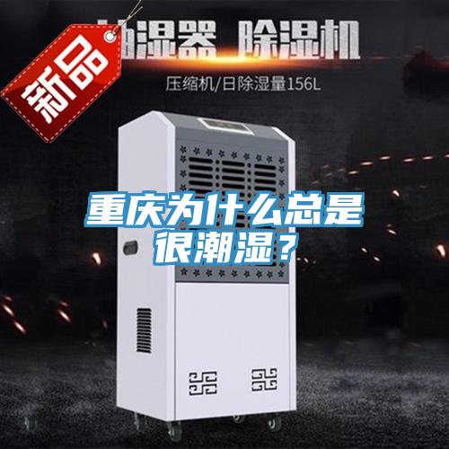 重慶為什么總是很潮濕？
