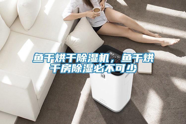 魚干烘干除濕機(jī)，魚干烘干房除濕必不可少