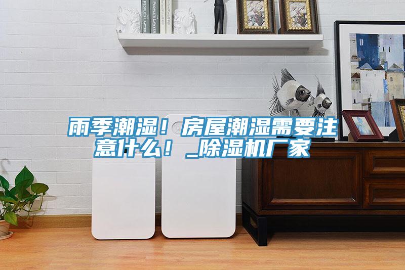 雨季潮濕！房屋潮濕需要注意什么！_除濕機廠家