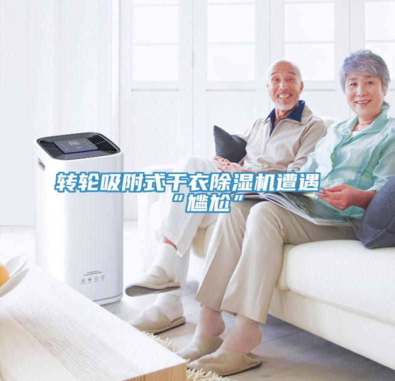 轉(zhuǎn)輪吸附式干衣除濕機遭遇“尷尬”