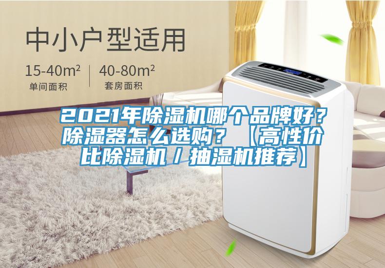 2021年除濕機(jī)哪個品牌好？除濕器怎么選購？【高性價比除濕機(jī)／抽濕機(jī)推薦】