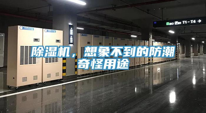 除濕機(jī)，想象不到的防潮奇怪用途