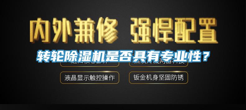 轉(zhuǎn)輪除濕機是否具有專業(yè)性？