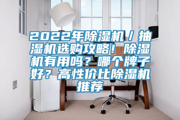2022年除濕機(jī)／抽濕機(jī)選購攻略！除濕機(jī)有用嗎？哪個牌子好？高性價(jià)比除濕機(jī)推薦