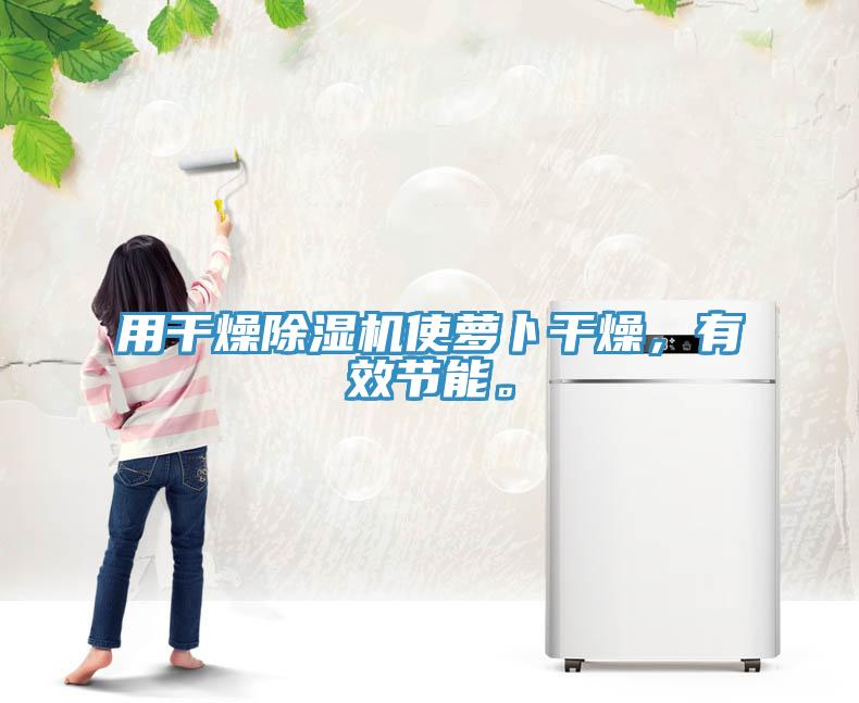 用干燥除濕機(jī)使蘿卜干燥，有效節(jié)能。
