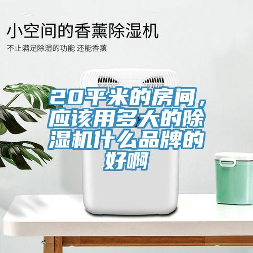 20平米的房間，應該用多大的除濕機什么品牌的好啊