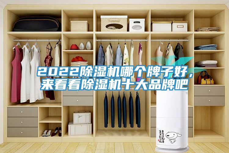 2022除濕機(jī)哪個牌子好，來看看除濕機(jī)十大品牌吧