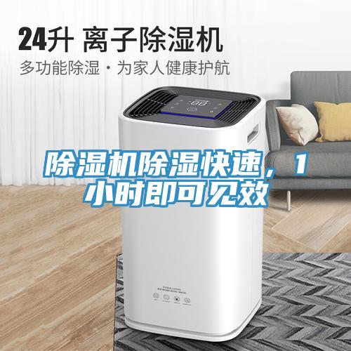 除濕機除濕快速，1小時即可見效