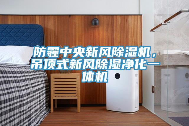 防霾中央新風(fēng)除濕機(jī)，吊頂式新風(fēng)除濕凈化一體機(jī)