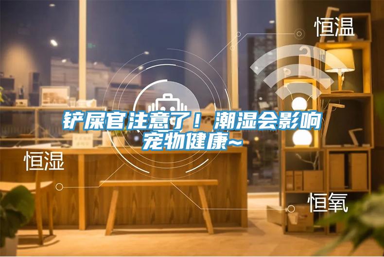 鏟屎官注意了！潮濕會(huì)影響寵物健康~