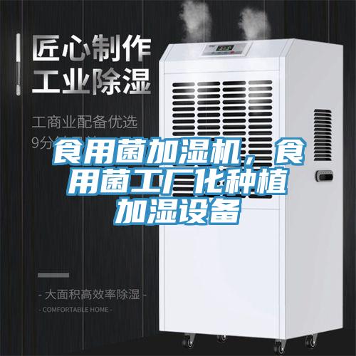 食用菌加濕機(jī)，食用菌工廠化種植加濕設(shè)備