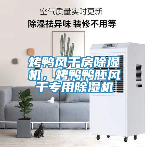 烤鴨風(fēng)干房除濕機(jī)，烤鴨鴨胚風(fēng)干專用除濕機(jī)
