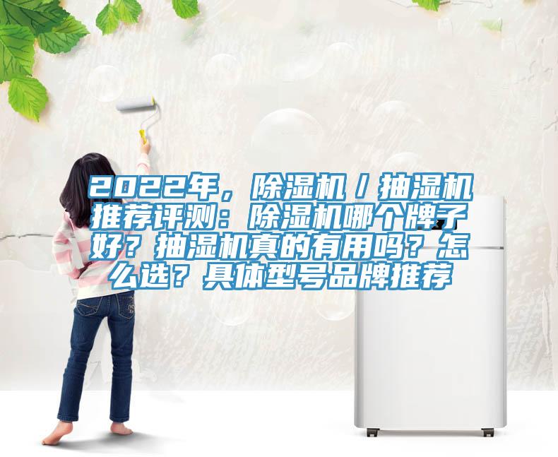 2022年，除濕機(jī)／抽濕機(jī)推薦評測：除濕機(jī)哪個牌子好？抽濕機(jī)真的有用嗎？怎么選？具體型號品牌推薦