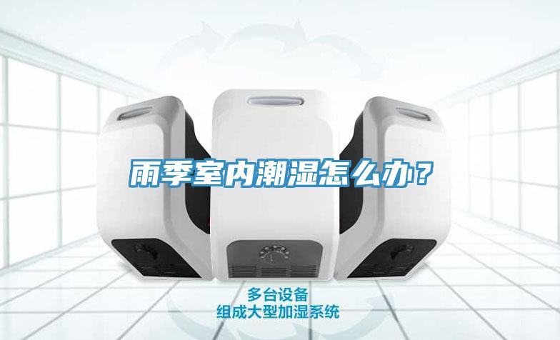 雨季室內潮濕怎么辦？