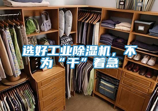 選好工業(yè)除濕機，不為“干”著急