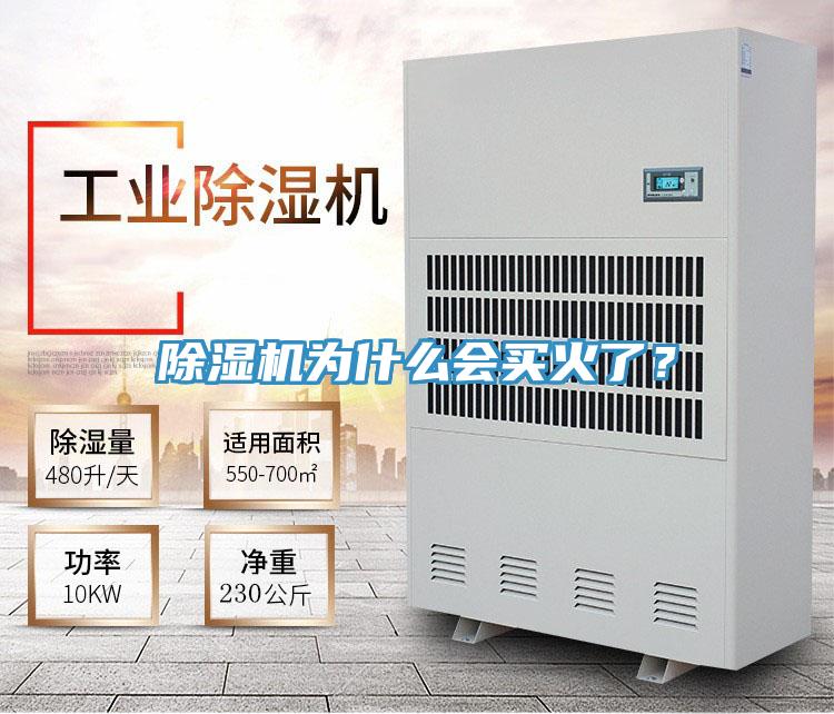 除濕機(jī)為什么會(huì)買(mǎi)火了？
